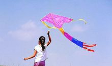 放飞风筝，放飞我的金色理想_450字