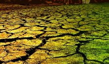 大自然的报复_600字