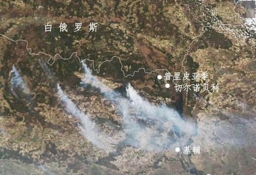 地球的报复_600字
