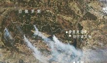 地球的报复_600字