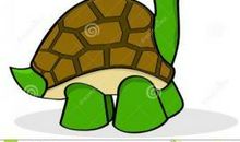 爷爷家的乌龟_550字