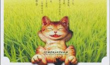 用微笑面对生活!_100字