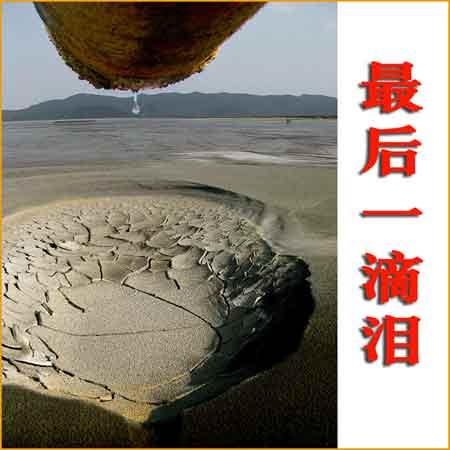 滴水，一滴眼泪_1000字