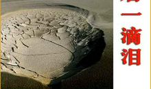 一滴水，一滴泪_1000字