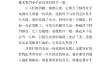 我爱爬山虎_250字