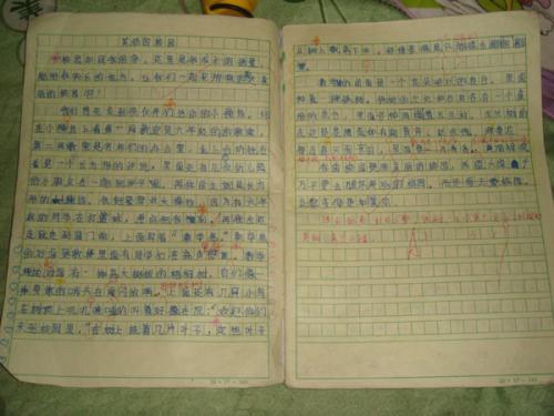 高中想象力组成：在月亮上有一天_700字