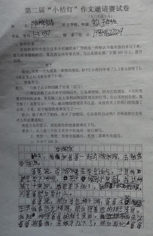 论文的责任_800字