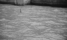 母亲河，我想对您说_550字