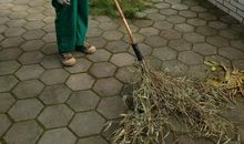 谢谢你们，扫地阿姨_450字