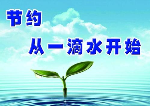从我这里拯救水_450字