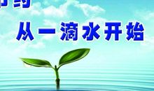 节约用水 从我做起_450字