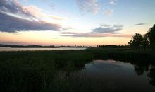 美丽的湿地公园_500字