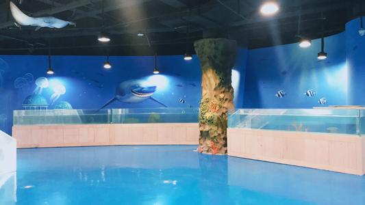 上海水族馆旅游_800字