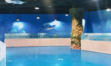 上海水族馆游_800字