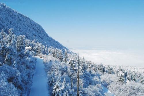 冬天雪_250字