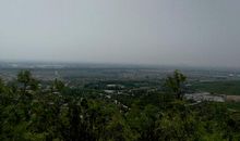 春游森林公园_400字