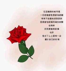 礼品玫瑰手留下香水_1200字