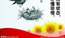 感恩身边的人或事物_900字