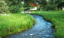 童年的小溪_400字