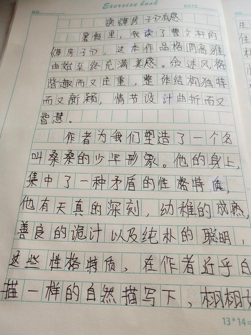 三年级是一种写作意义：“草房”是一种感觉（四）_700字