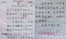 练笔（一）_100字