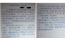 三年级观后感作文：天堂的孩子的观后感（三）_650字