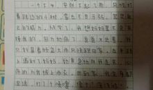 雪，是多么的美_100字