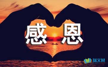 爸爸_900字