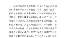 当班干部的酸甜苦辣_600字