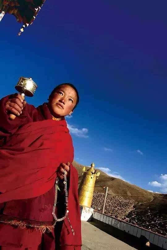 可怕的世界 - 静心_350字