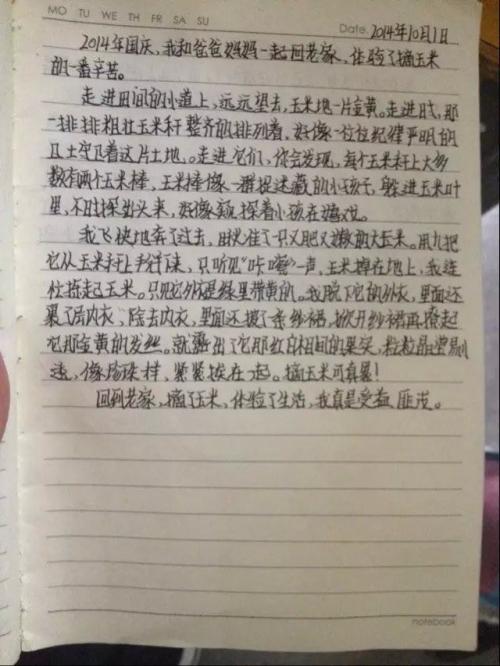 我们的世界_250字