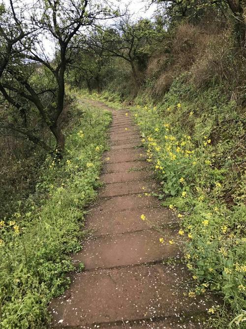 在我的家庭面前的道路_750字
