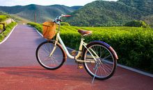 自行车厂之旅_750字