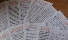 写给“豆豆”的一封信_450字