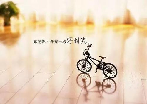 我和姨妈_1200字