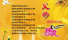 感恩书信，感恩父母_750字