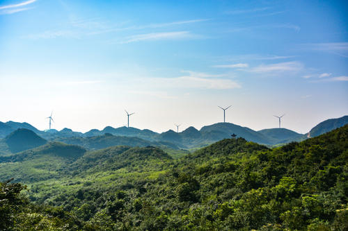 圆形亲爱的莫兵蓝（七夏季）_450字