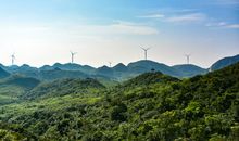 回致亲爱的沫冰蓝隳（七夏）_450字