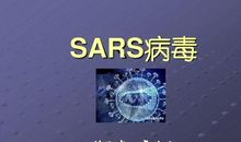 我是“非典”病毒_900字