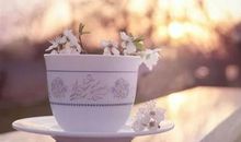 善待自己_1500字