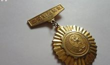 申队雏鹰奖牌好少年_200字