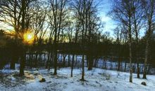 在我人生的储蓄罐里_750字