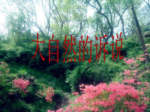 大自然的忏悔_1200字