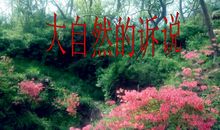 大自然的倾诉_1200字