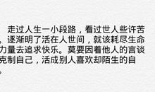 小小音乐迷_750字