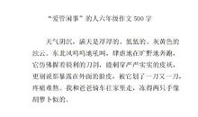 一个爱管闲事的人_650字