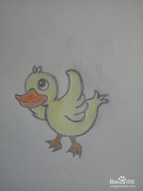 给鸭子的信_500字