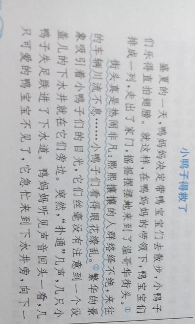 单位成分：鸭伴_900字