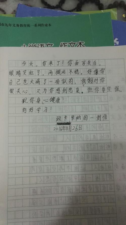 五(1)级_800字的一封信