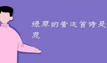心灵的诱惑_800字